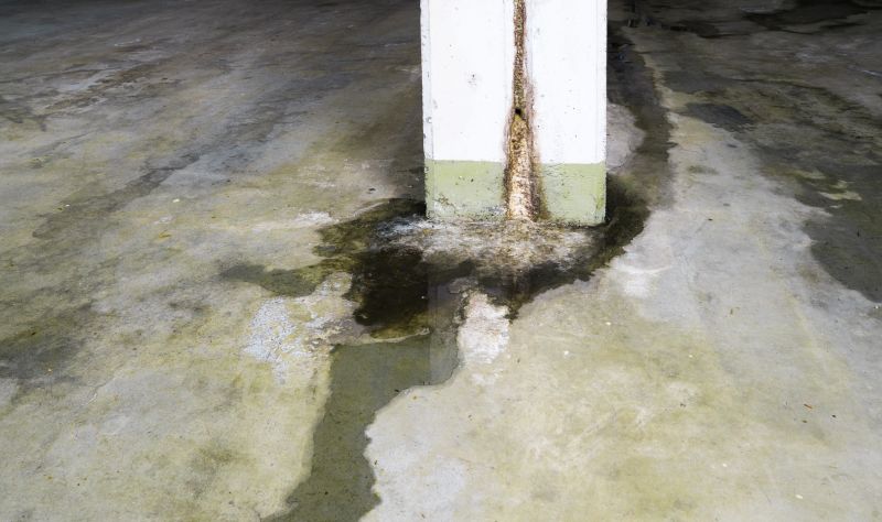 Leaking Foundation Repair in Skagit County, WA